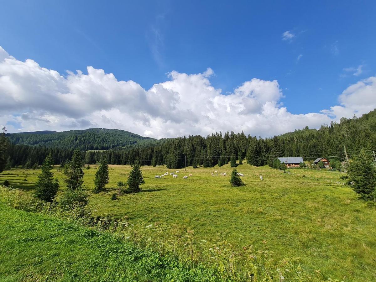 Apartmenthaus Almwiese Flattnitz Zewnętrze zdjęcie