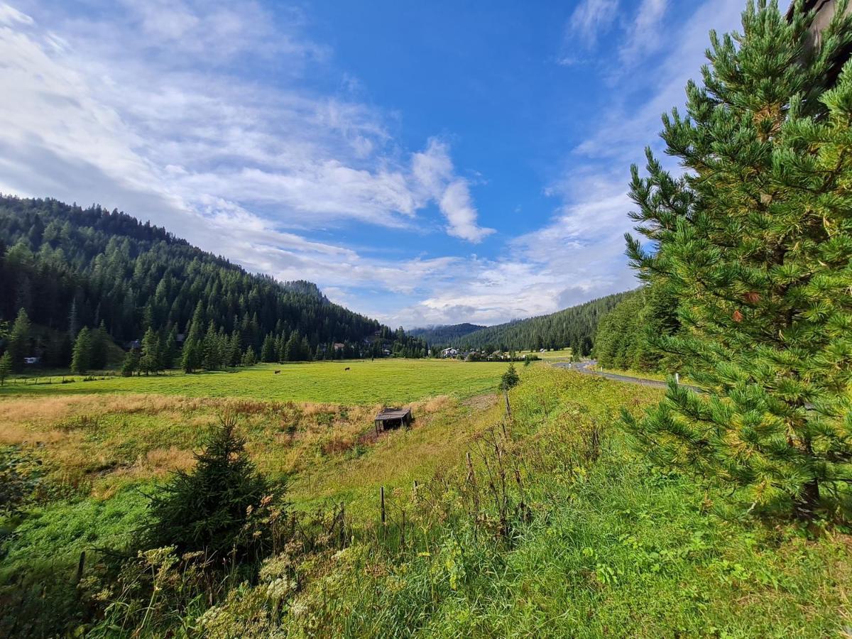 Apartmenthaus Almwiese Flattnitz Zewnętrze zdjęcie