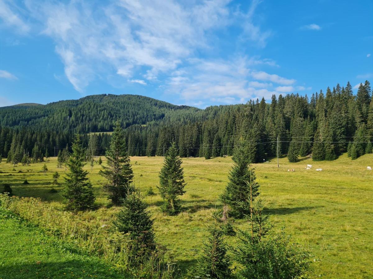 Apartmenthaus Almwiese Flattnitz Zewnętrze zdjęcie