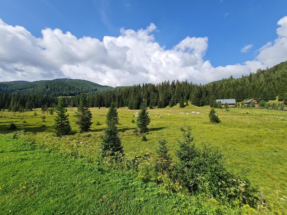Apartmenthaus Almwiese Flattnitz Zewnętrze zdjęcie