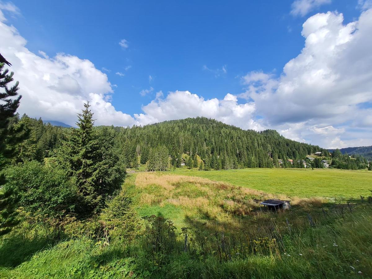 Apartmenthaus Almwiese Flattnitz Zewnętrze zdjęcie